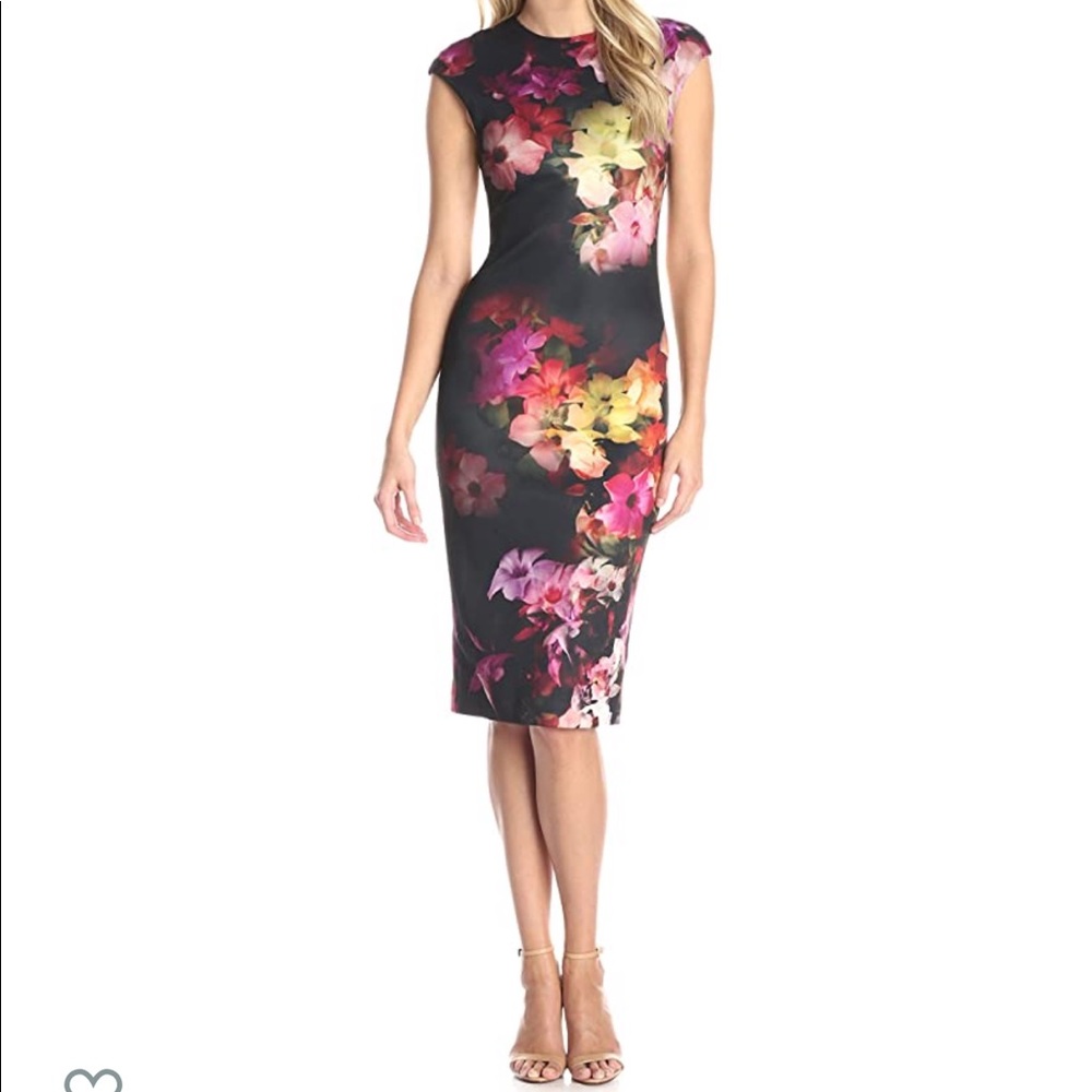 *NWT* 🌸🌺Ted Baker Catina Cascading FloraDress🌺